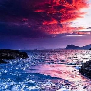 Meet your Posher, Afshan